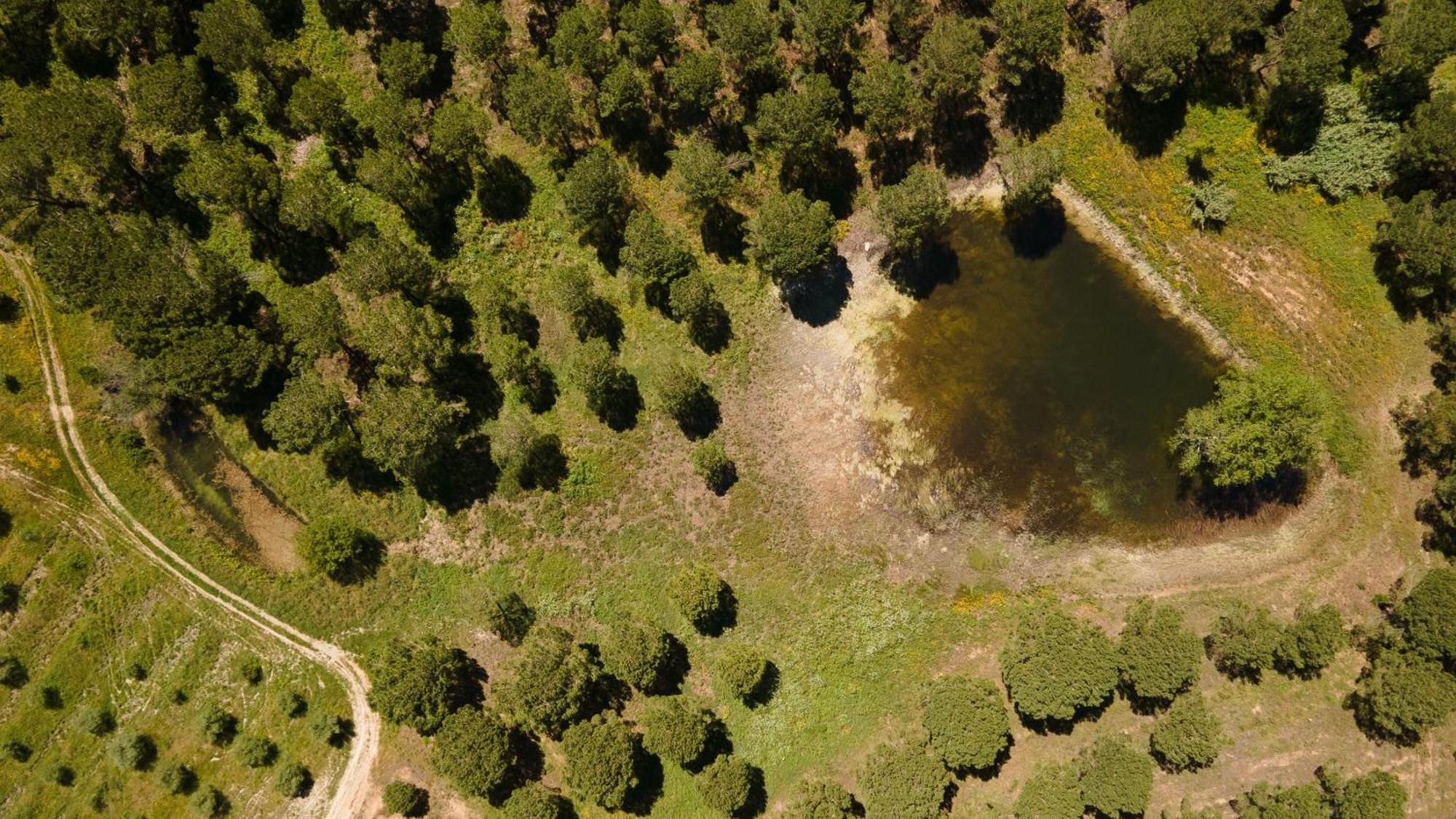 Resort Rural Quinta Do Carrascal Santarém Εξωτερικό φωτογραφία